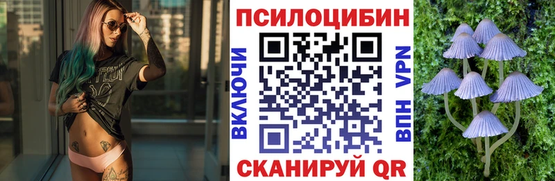 Псилоцибиновые грибы GOLDEN TEACHER  наркота  мега онион  Нижнеудинск 